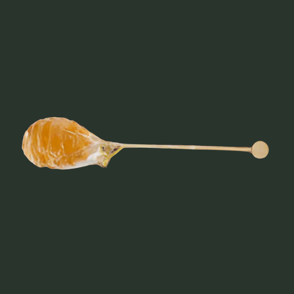 Honey Lollipop Tea Stirrer